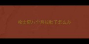 哈士奇八个月拉肚子怎么办