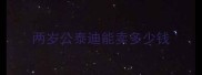两岁公泰迪能卖多少钱