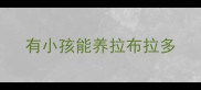有小孩能养拉布拉多