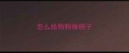 怎么给狗狗做帽子