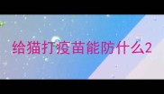 给猫打疫苗能防什么
