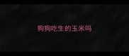 狗狗吃生的玉米吗