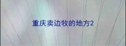 重庆卖边牧的地方