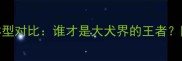 金毛萨摩耶体型对比谁才是大犬界的王者附饲养全攻略