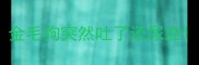 金毛狗突然吐了还尿血