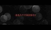 金毛几个月换完被毛