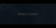 狗狗细小几天能好