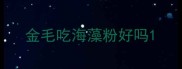金毛吃海藻粉好吗