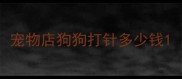 宠物店狗狗打针多少钱