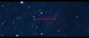 为什么泰迪狗气味重