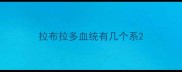拉布拉多血统有几个系