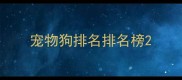 宠物狗排名排名榜