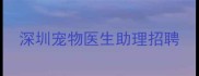 深圳宠物医生助理招聘