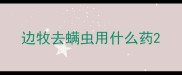 边牧去螨虫用什么药