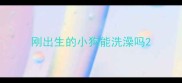 刚出生的小狗能洗澡吗