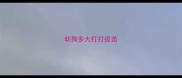 幼狗多大打打疫苗