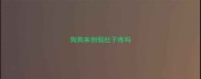 狗狗来例假肚子疼吗