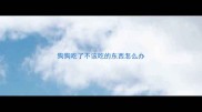 狗狗吃了不该吃的东西怎么办