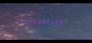 治狗狗耳螨什么药最好