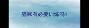 猫咪有必要训练吗