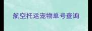 航空托运宠物单号查询