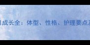 雪纳瑞8个月成长全体型性格护理要点及健康隐患
