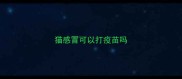 猫感冒可以打疫苗吗