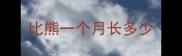 比熊一个月长多少