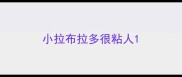 小拉布拉多很粘人