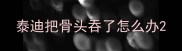 泰迪把骨头吞了怎么办