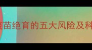 猫咪未接种疫苗绝育的五大风险及科学应对指南