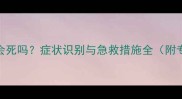 狗狗严重贫血会死吗症状识别与急救措施全附专业兽医建议