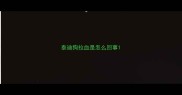 泰迪狗拉血是怎么回事