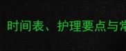 哈士奇换牙期全时间表护理要点与常见问题附图