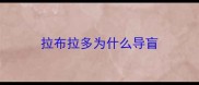 拉布拉多为什么导盲