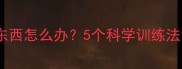小拉布拉多爱咬东西怎么办5个科学训练法让狗狗远离破坏