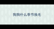 狗狗什么季节换毛