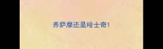 养萨摩还是哈士奇