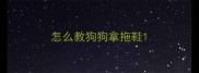怎么教狗狗拿拖鞋