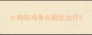 小狗吃鸡骨头呕吐治疗