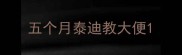 五个月泰迪教大便