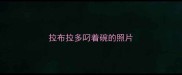 拉布拉多叼着碗的照片