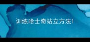 训练哈士奇站立方法