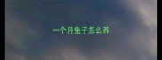 一个月兔子怎么养