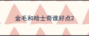 金毛和哈士奇谁好点