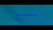 猫咪总在猫砂盆里呆着