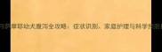 五个月萨摩耶幼犬腹泻全攻略症状识别家庭护理与科学预防指南