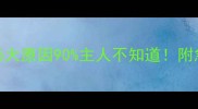 拉布拉多咬人这5大原因90主人不知道附急救指南训练秘籍