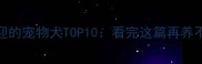 最受欢迎的宠物犬TOP10看完这篇再养不踩雷