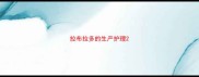 拉布拉多的生产护理